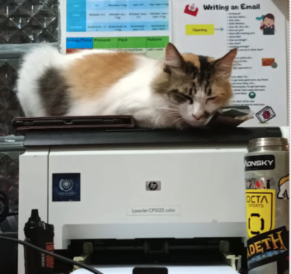 Kucing Tersayang Nana
